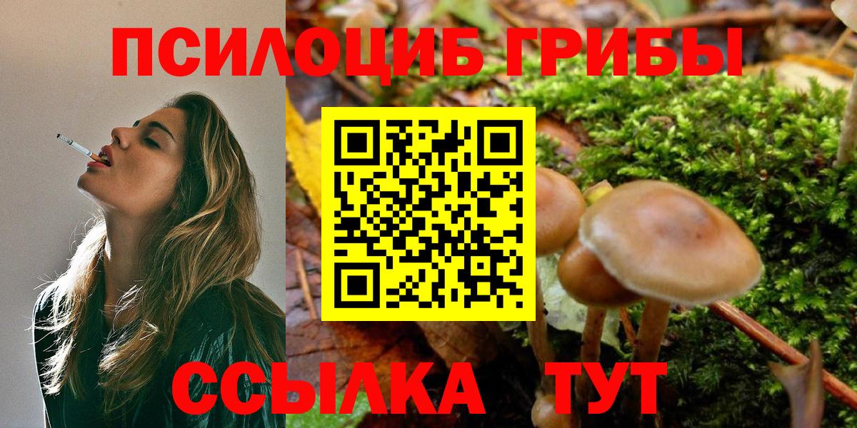 Ханты-Мансийск  Псилоцибиновые грибы Magic Shrooms  Вход с VPN 